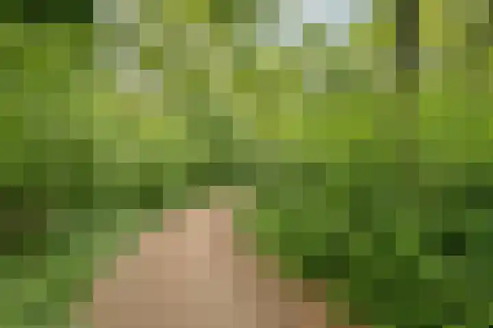 Het Roege Pad 3 Groningen thumbnail 30