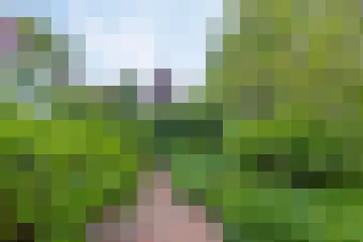 Het Roege Pad 3 Groningen thumbnail 31
