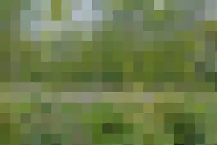 Het Roege Pad 3 Groningen thumbnail 32