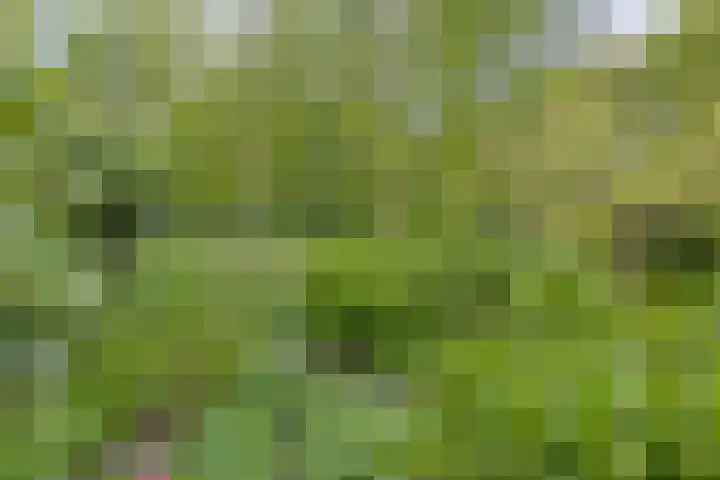 Het Roege Pad 3 Groningen thumbnail 33