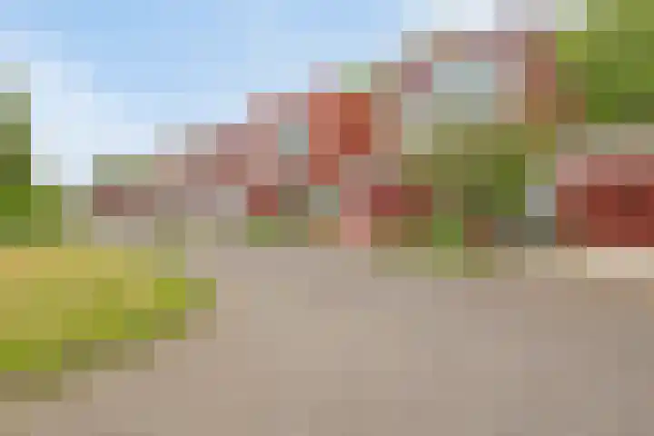 Het Roege Pad 3 Groningen thumbnail 34
