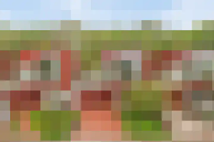 Het Roege Pad 3 Groningen thumbnail 5
