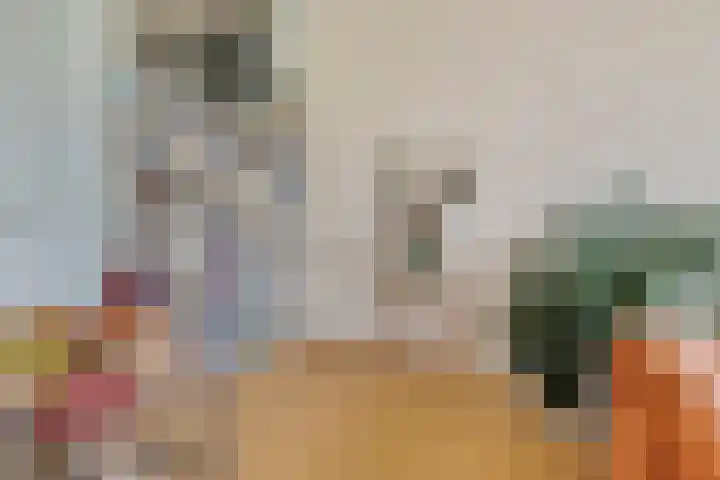 Het Roege Pad 3 Groningen thumbnail 9