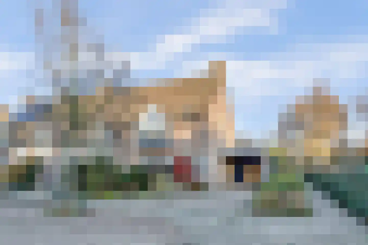 Het Ronsel 30 in Bergeijk