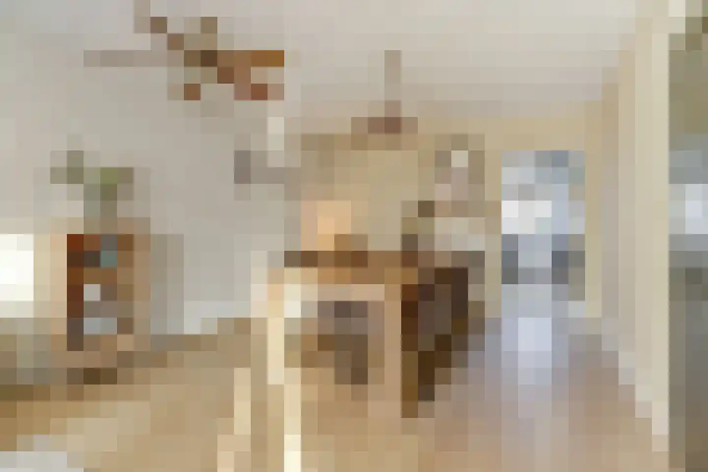 Het Ronsel 30 Bergeijk thumbnail 13