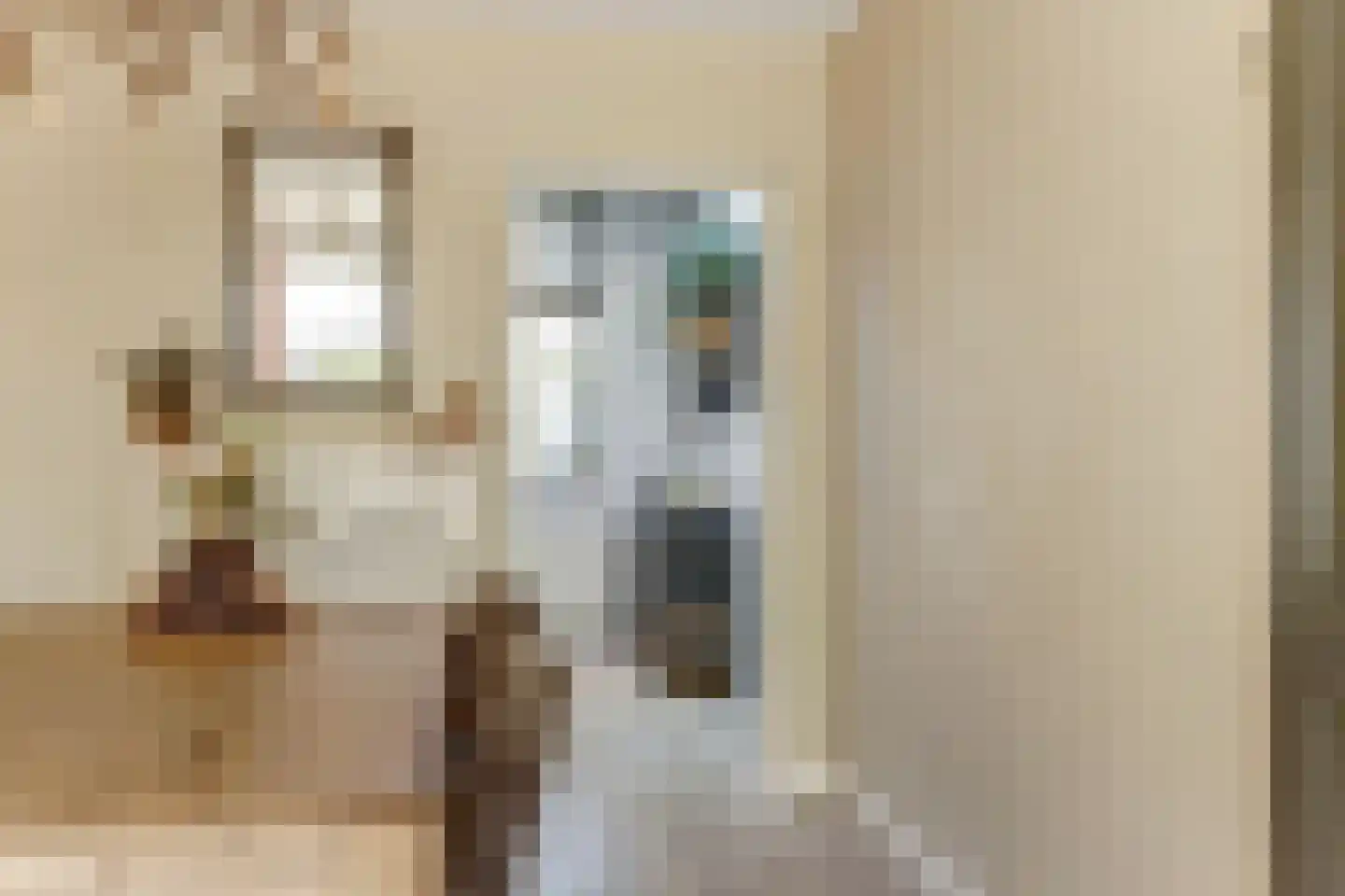 Het Ronsel 30 Bergeijk thumbnail 19