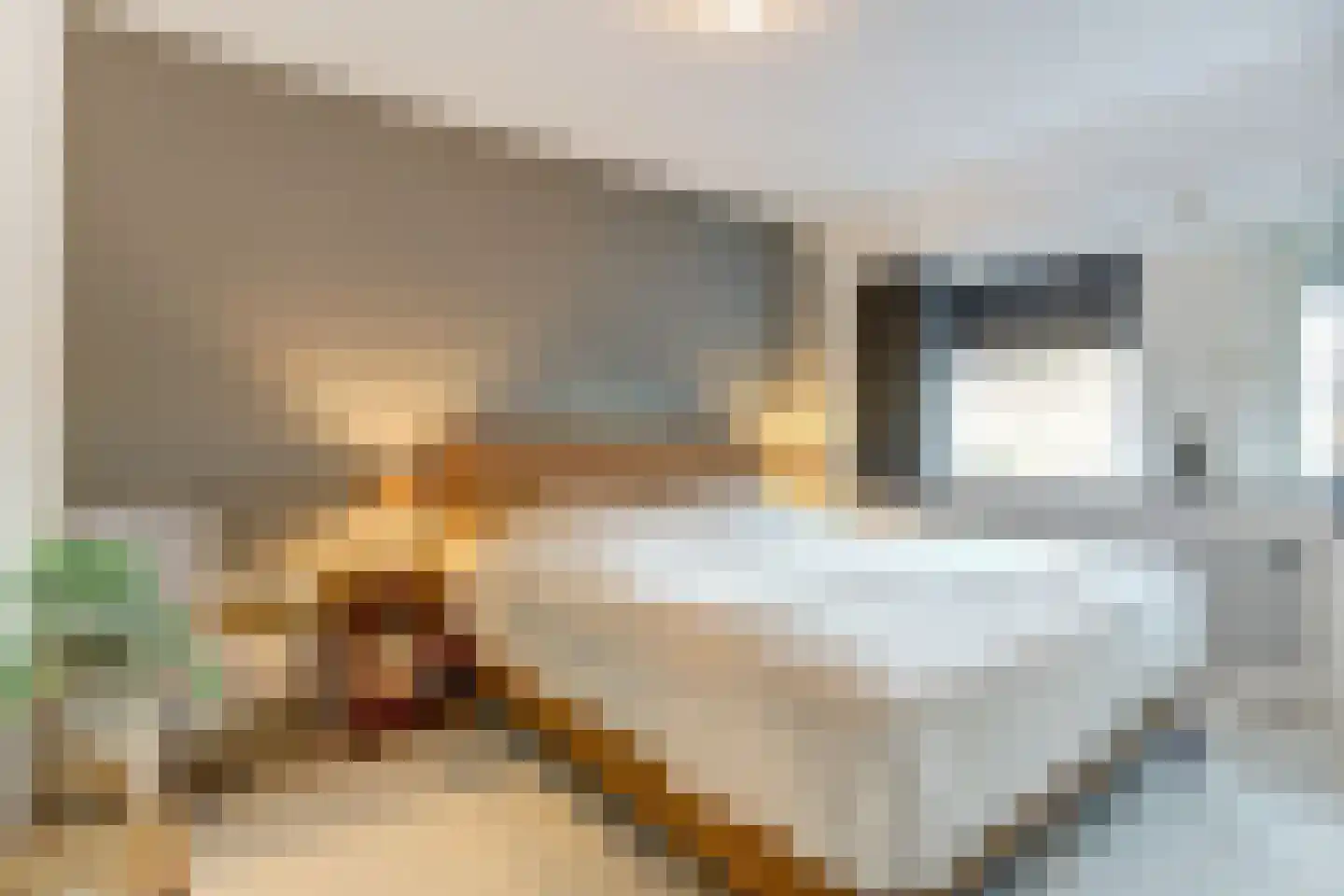 Het Ronsel 30 Bergeijk thumbnail 30