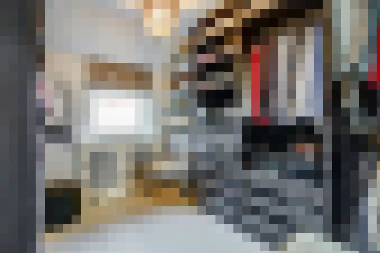 Het Ronsel 30 Bergeijk thumbnail 32