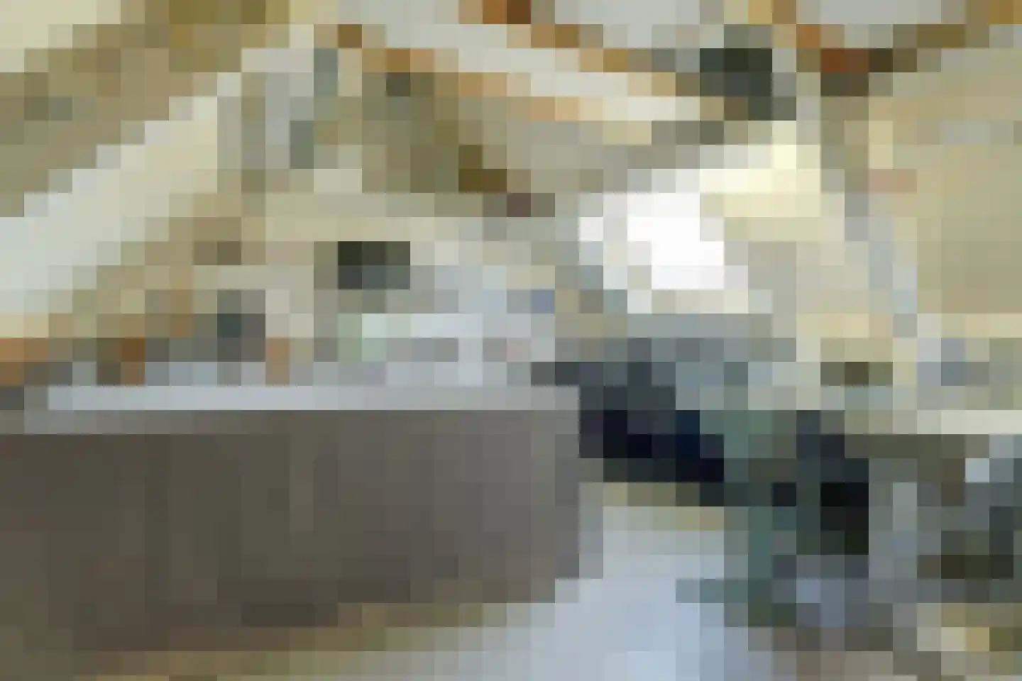 Het Ronsel 30 Bergeijk thumbnail 40