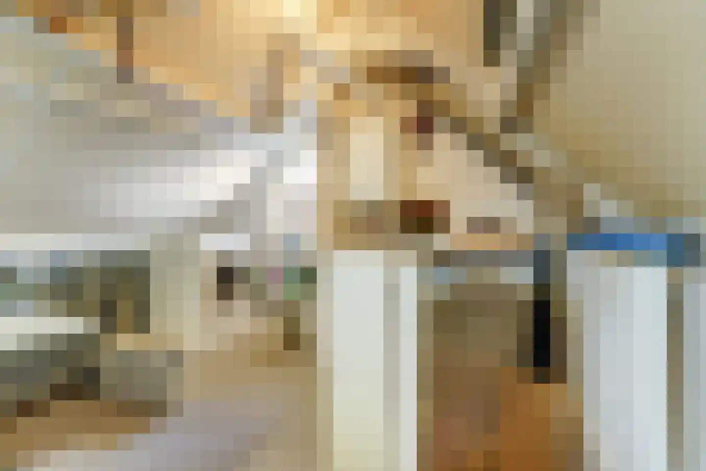 Het Ronsel 30 Bergeijk thumbnail 41