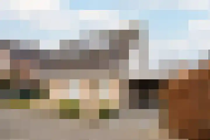 Het Ruiterpad 4 en Dronten