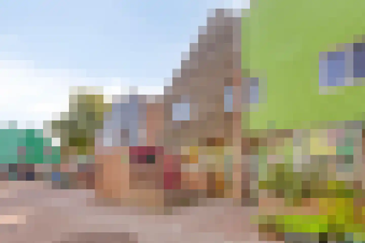 Het Salm 25 Zaandam