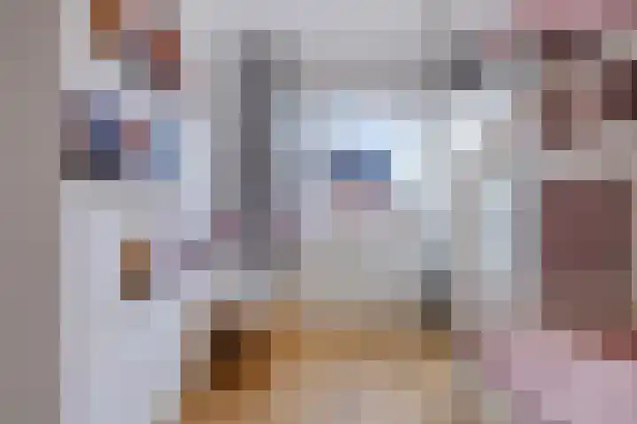Het Sas 12 Meerstad thumbnail 19