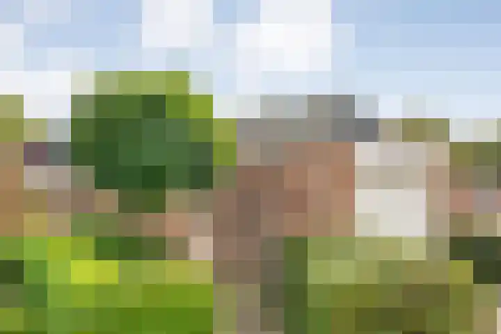 het Schar 25 Steenwijk