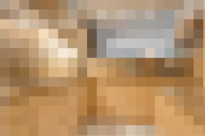 Het Schild 13 Balkbrug thumbnail 14
