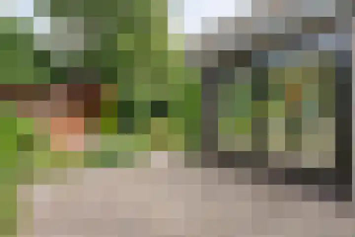 Het Schild 13 Balkbrug thumbnail 27