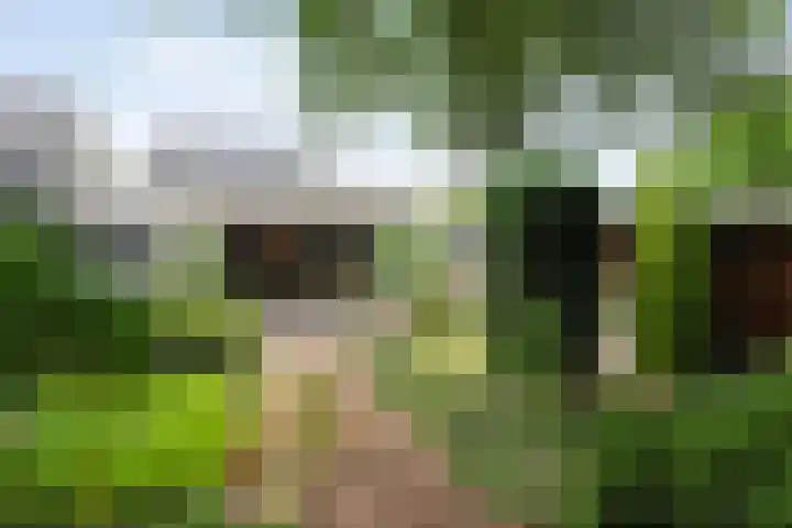 Het Schild 13 Balkbrug thumbnail 31