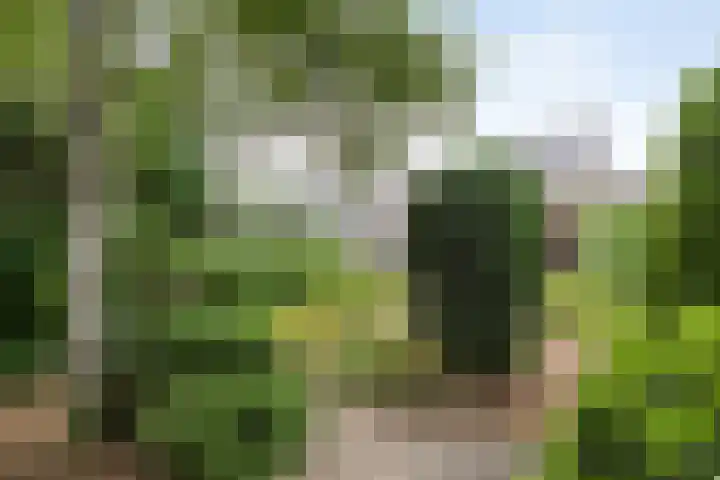 Het Schild 13 Balkbrug thumbnail 32