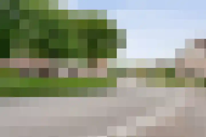 Het Schild 13 Balkbrug thumbnail 38