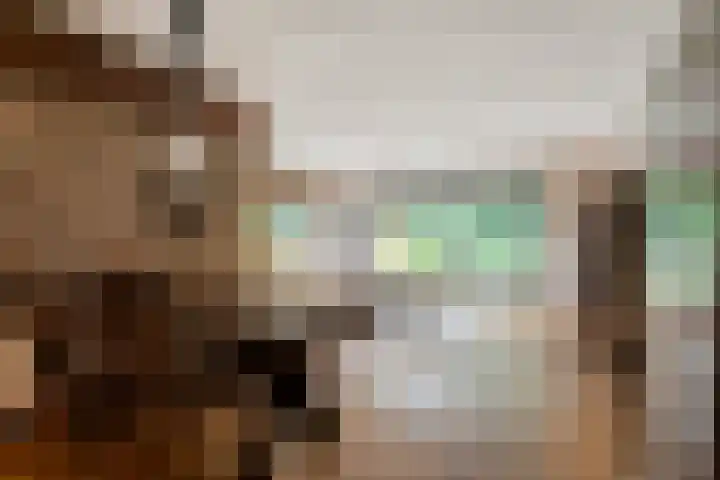 Het Schild 13 Balkbrug thumbnail 5