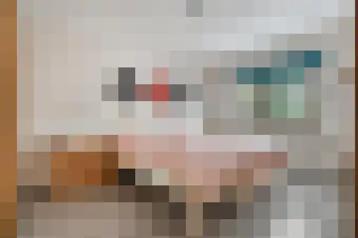 Het Schild 15 Balkbrug thumbnail 16