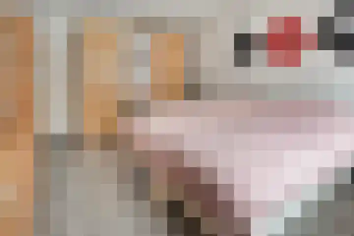 Het Schild 15 Balkbrug thumbnail 17
