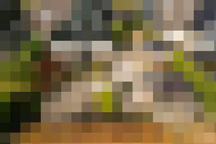 Het Schild 15 Balkbrug thumbnail 18