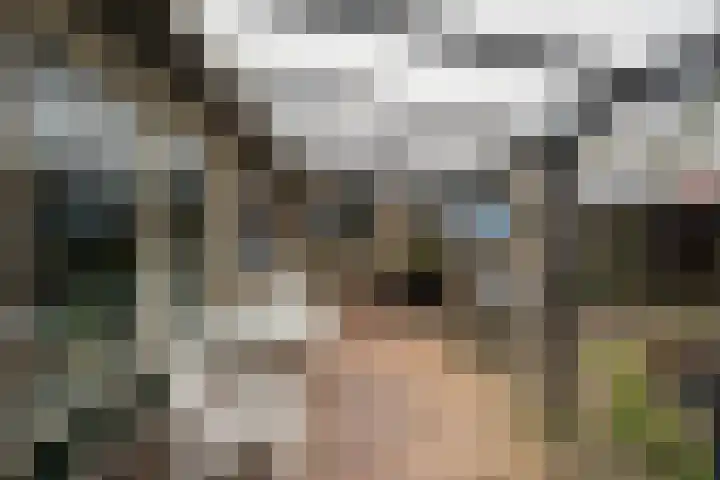 Het Schild 15 Balkbrug thumbnail 25