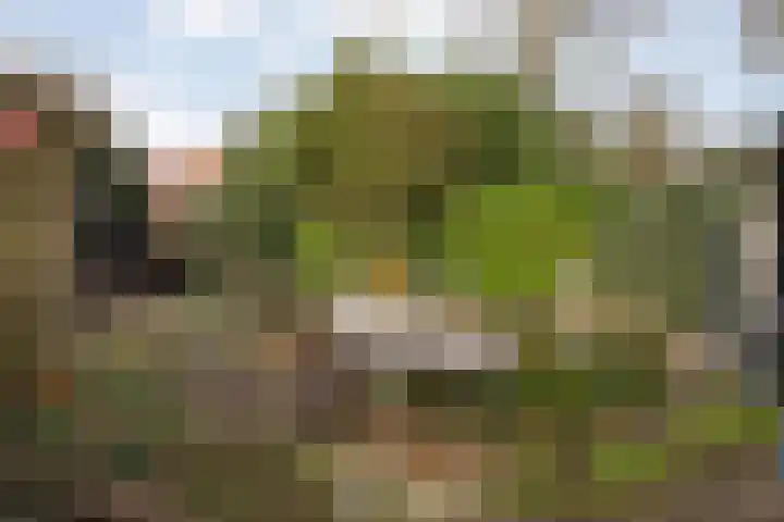 Het Schild 15 Balkbrug thumbnail 26