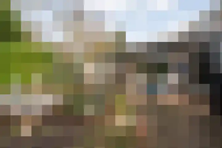 Het Schild 15 Balkbrug thumbnail 27