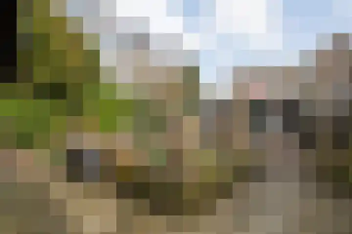 Het Schild 15 Balkbrug thumbnail 30