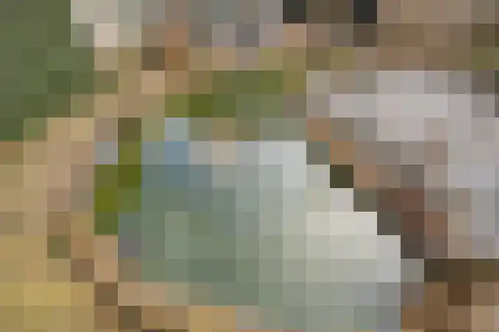 Het Schild 15 Balkbrug thumbnail 31