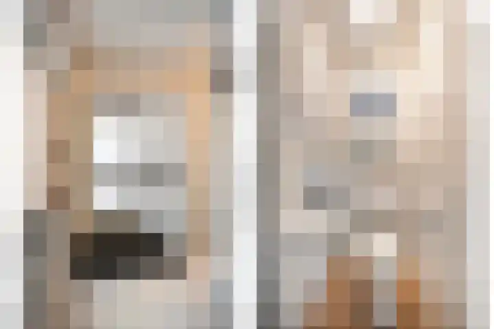 Het Schild 15 Balkbrug thumbnail 5