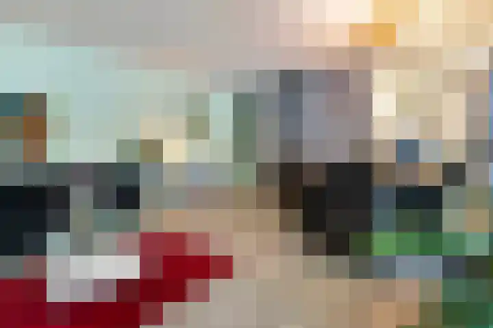 Het Schild 15 Balkbrug thumbnail 9