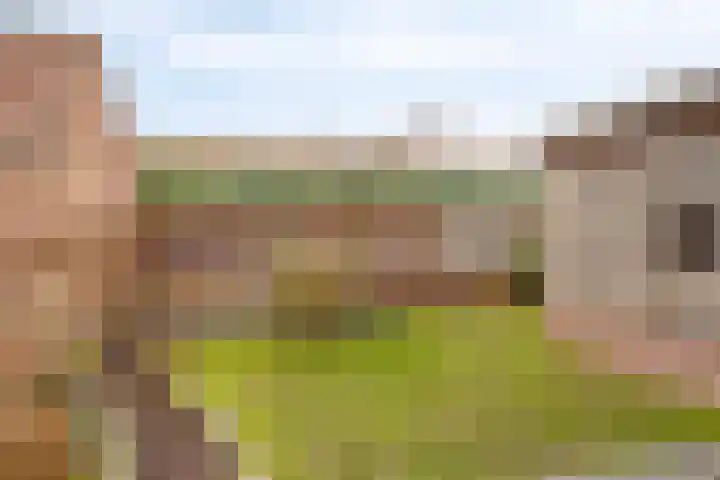 Het Schild 23 Boxtel thumbnail 25