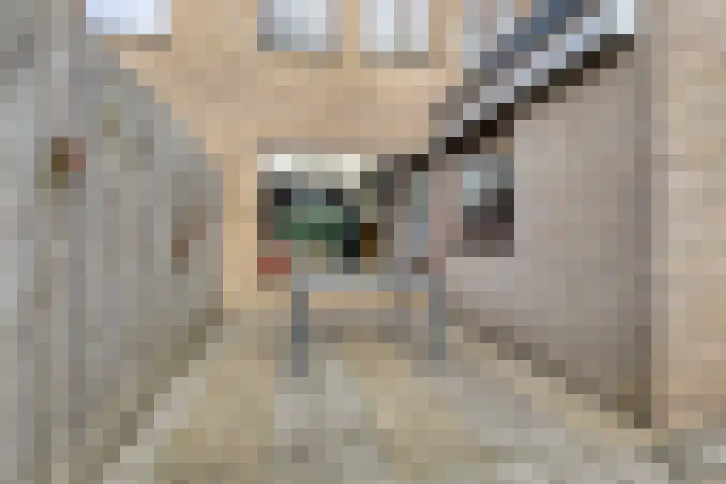 Het Schild 41 Steenwijkerwold thumbnail 39