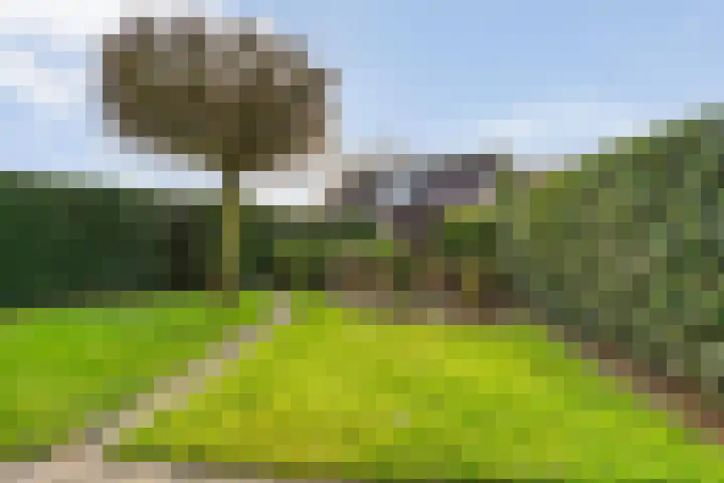 Het Schild 41 Steenwijkerwold thumbnail 41