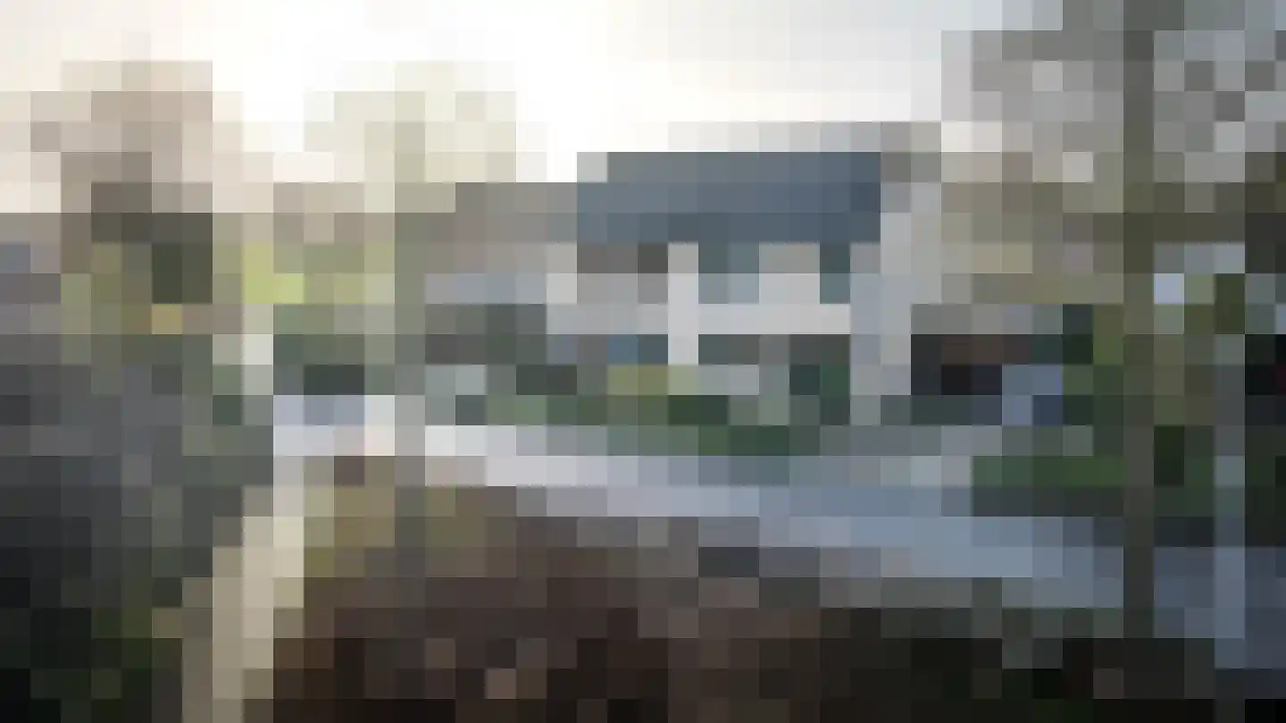 Het Schild 41 Steenwijkerwold thumbnail 48
