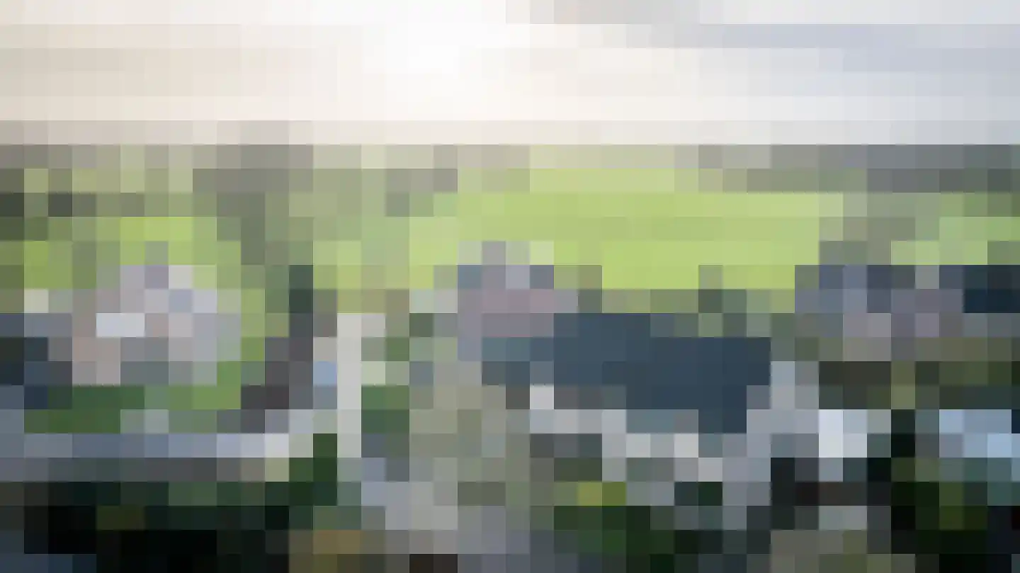 Het Schild 41 Steenwijkerwold thumbnail 53