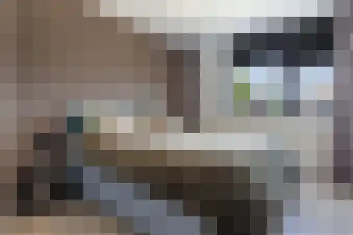 Het Schip 158 Apeldoorn thumbnail 17