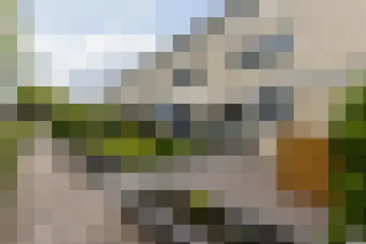 Het Schip 158 Apeldoorn thumbnail 35