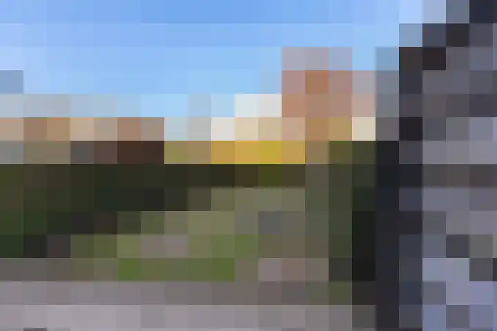 Het Schip 180 Apeldoorn thumbnail 9