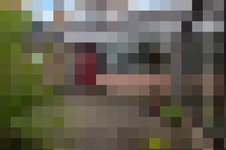 Het Schol 13 Almelo
