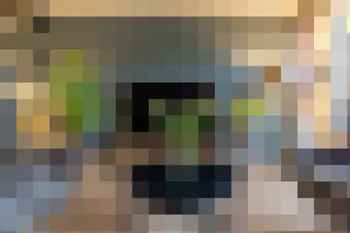 Het Schol 13 Almelo thumbnail 10