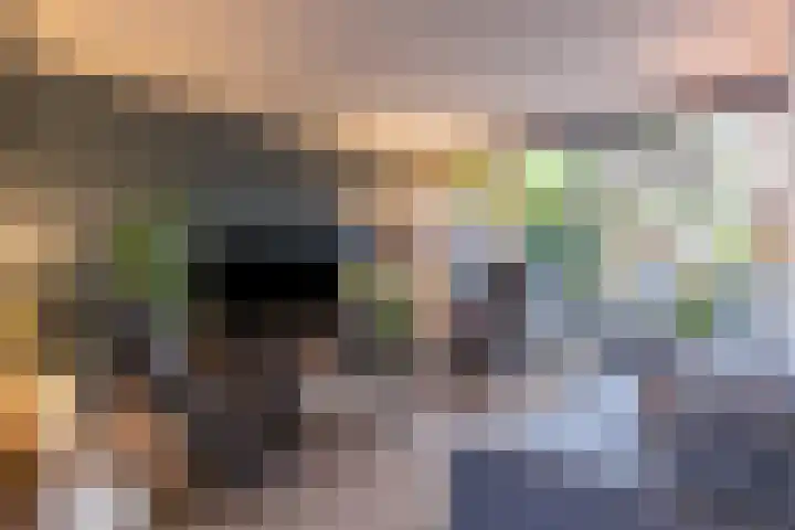Het Schol 13 Almelo thumbnail 12