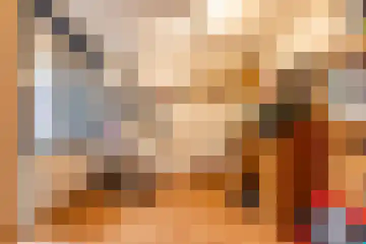 Het Schol 13 Almelo thumbnail 18