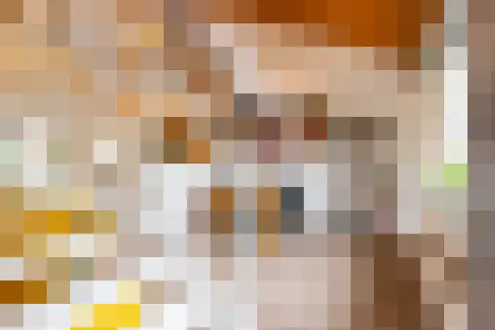 Het Schol 13 Almelo thumbnail 19