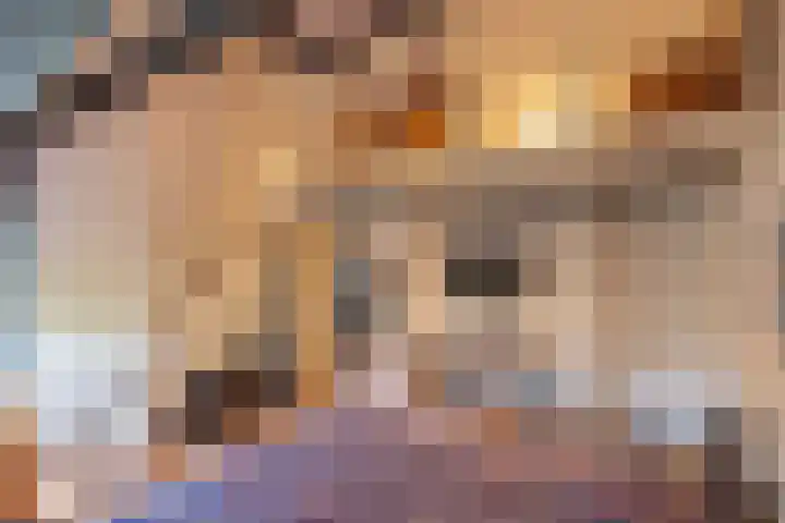 Het Schol 13 Almelo thumbnail 21