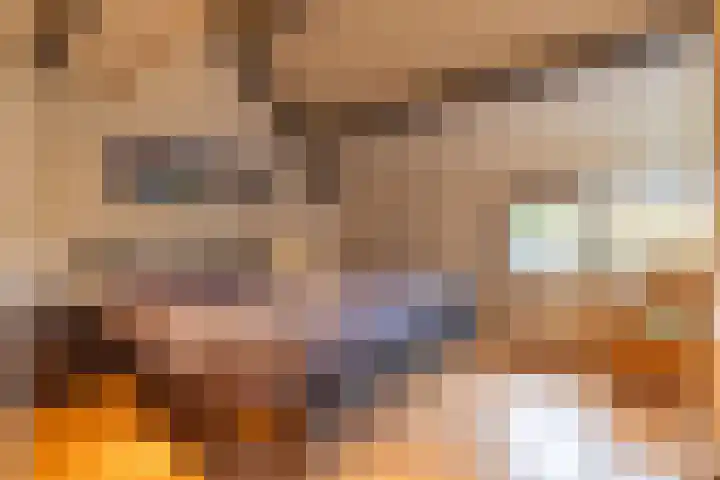 Het Schol 13 Almelo thumbnail 22
