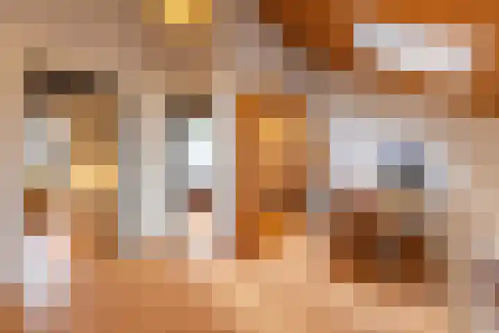 Het Schol 13 Almelo thumbnail 24